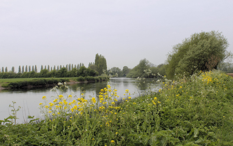 River Trent River Trent